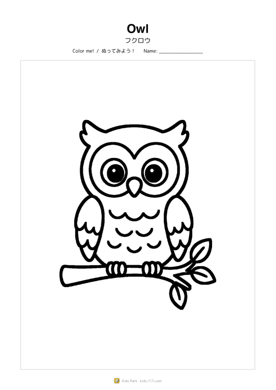 Owl